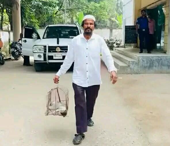 চকরিয়ায় পোষা বিড়াল পিটিয়ে হত্যার অভিযোগ, বিচার চেয়ে  থানায় হাজির মালিক