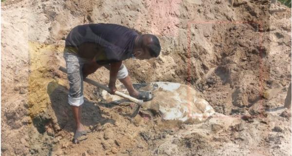 হাতি হত্যা করে মাটিচাপা, ওপরে ঘর তুলে আলামত গোপনের চেষ্টা